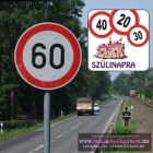 Szülinapi karton tábla 20