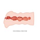 Crazy Bull - LEILA műpunci