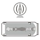 LVT Sörösdoboz maszturbátor vagina SÁRGA-FLESH
