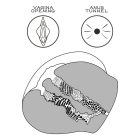 Streetgirl's #11 Black maszturbátor